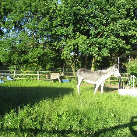 Behrs Hof Casa de hóspedes