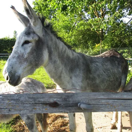 Pensión Behrs Hof Scharmbeck